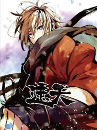 网站优化哪个软件好用些